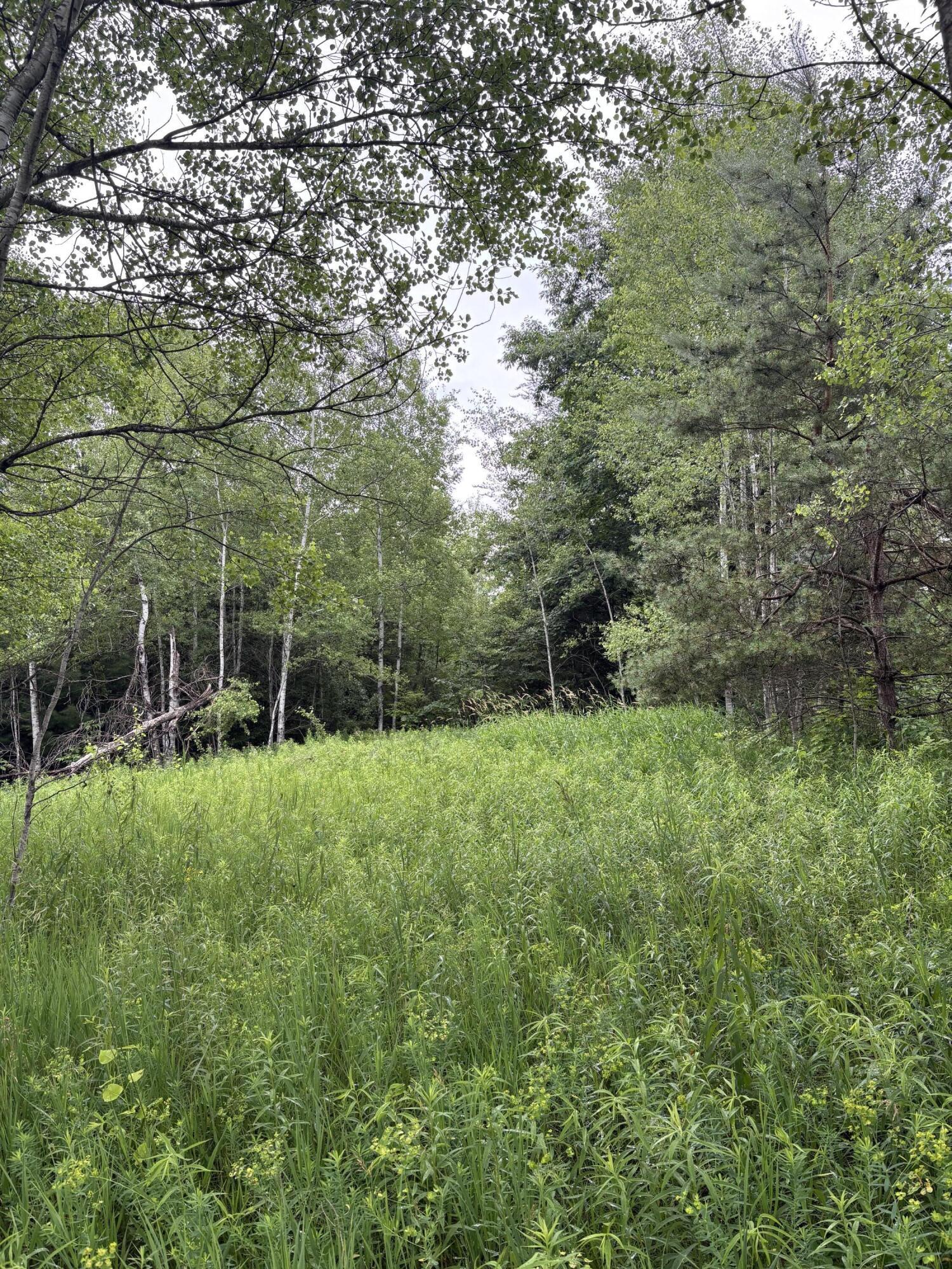 Property Photo: 00 Hewitt MI 49688