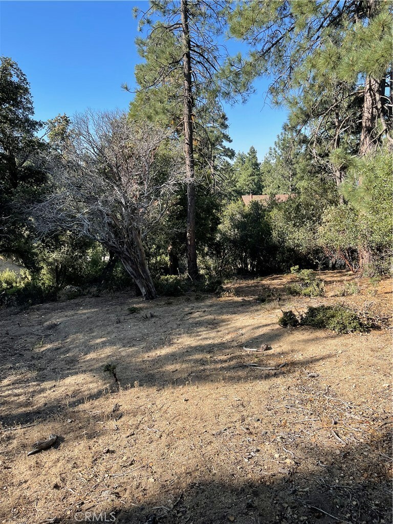 Property Photo: 0 Valley View Drive CA 92561