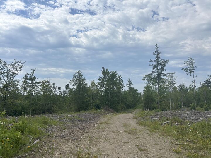 Property Photo: 0A Clearcut Lodge Road ME 04487