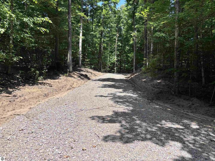 Property Photo:  W Elder Road  MI 49659 