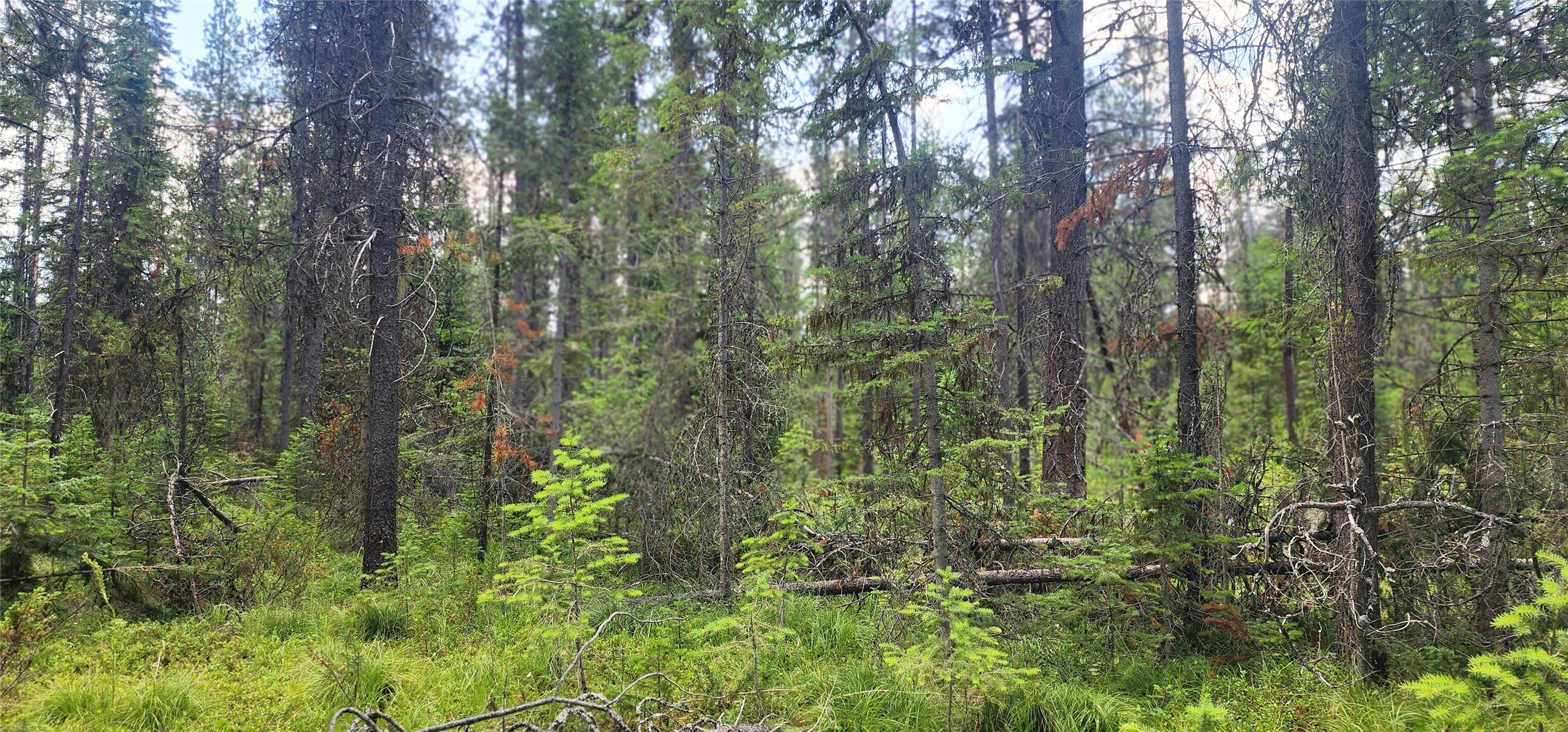 Property Photo: 9295 Highway 93 N MT 59927
