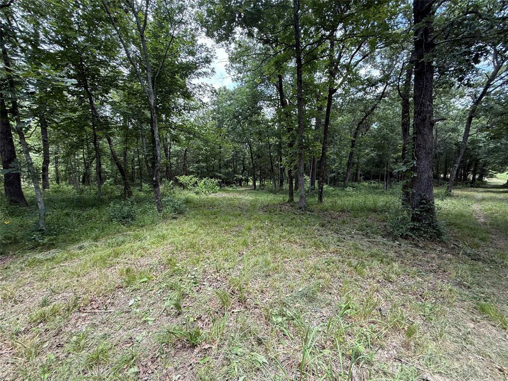 Property Photo: 0000 County Road 1130 TX 75453