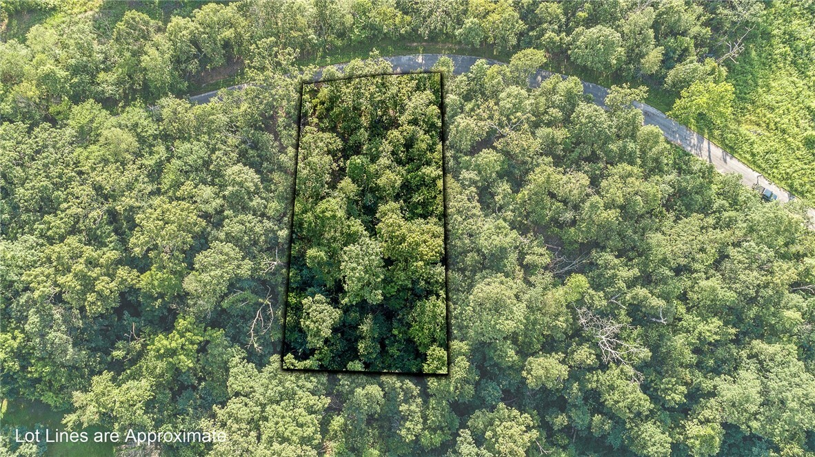 Property Photo: Lot 22, Block 3 Handa Lane AR 72715