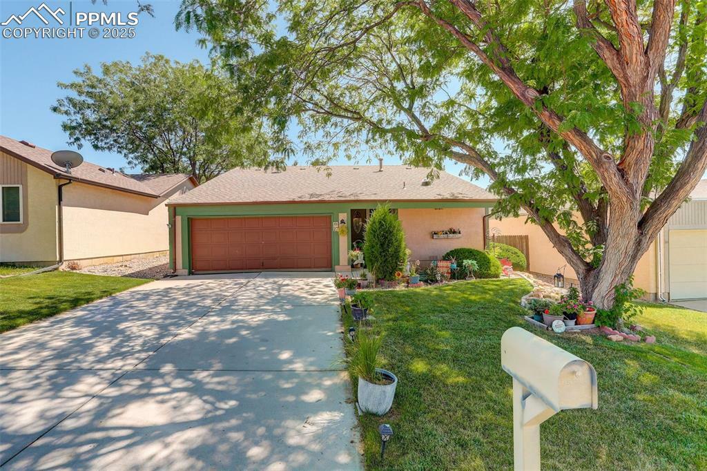 Property Photo: 27 Terrace Drive CO 81001