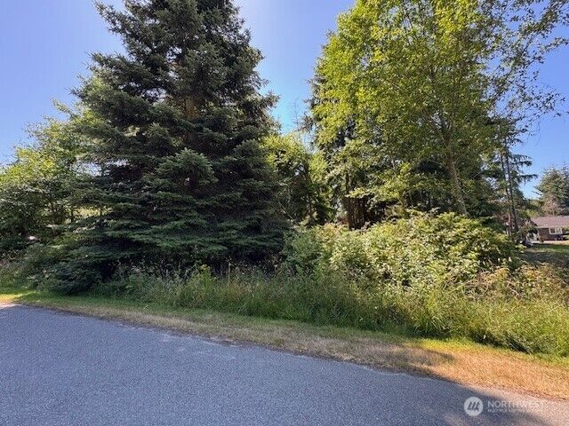 Property Photo: 42 E Sycamore Drive WA 98239