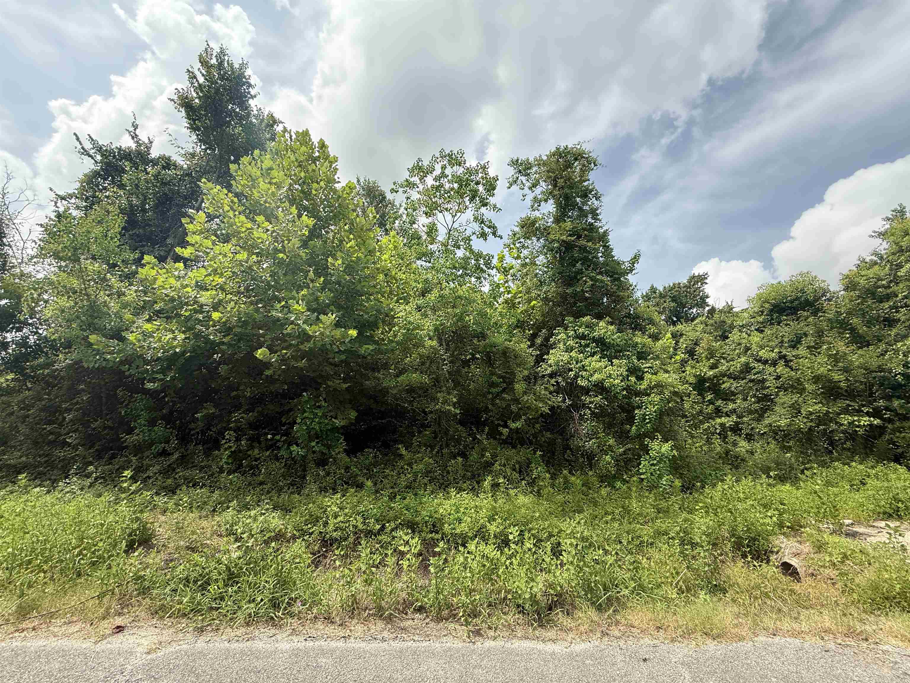 Property Photo: 1601 W Curtis Ave TX 77630