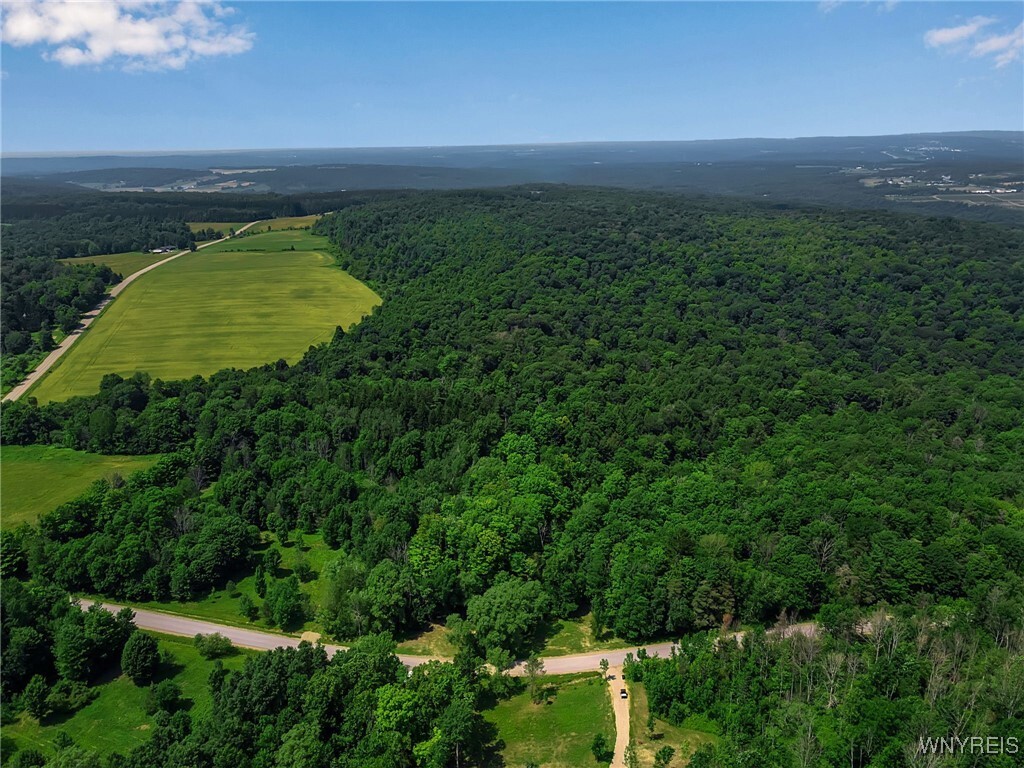 Property Photo: 00 Snake Run Road NY 14729