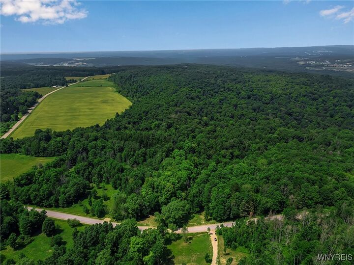 Property Photo:  00 Snake Run Road  NY 14729 