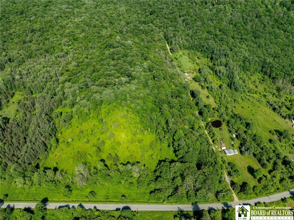 Property Photo: 0 Morgan Hollow Road NY 14737