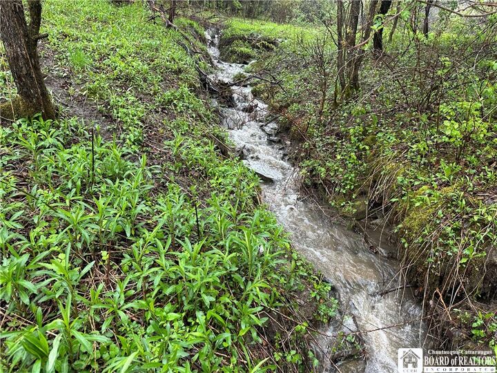 Property Photo:  0 Morgan Hollow Road  NY 14737 