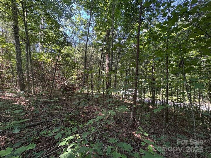 Property Photo:  Lot 13 Wildflower Way  NC 28752 