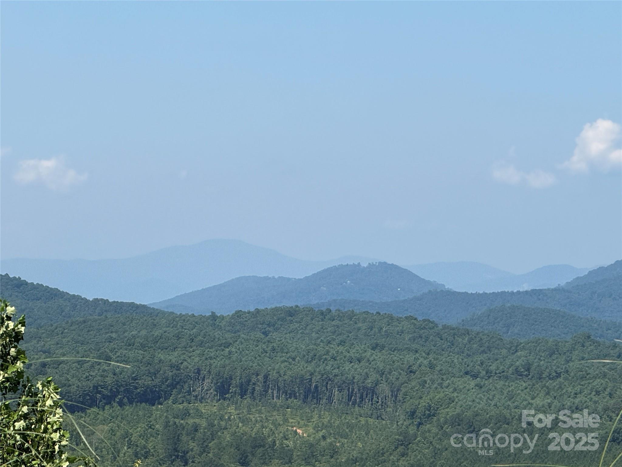 Property Photo: 0 Scenic Vista Drive 262 NC 28761
