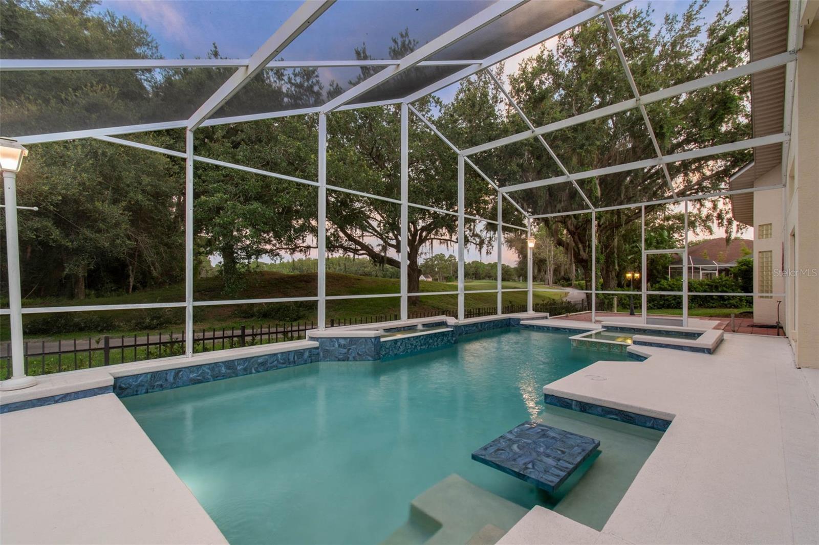Property Photo:  17515 Edinburgh Drive  FL 33647 
