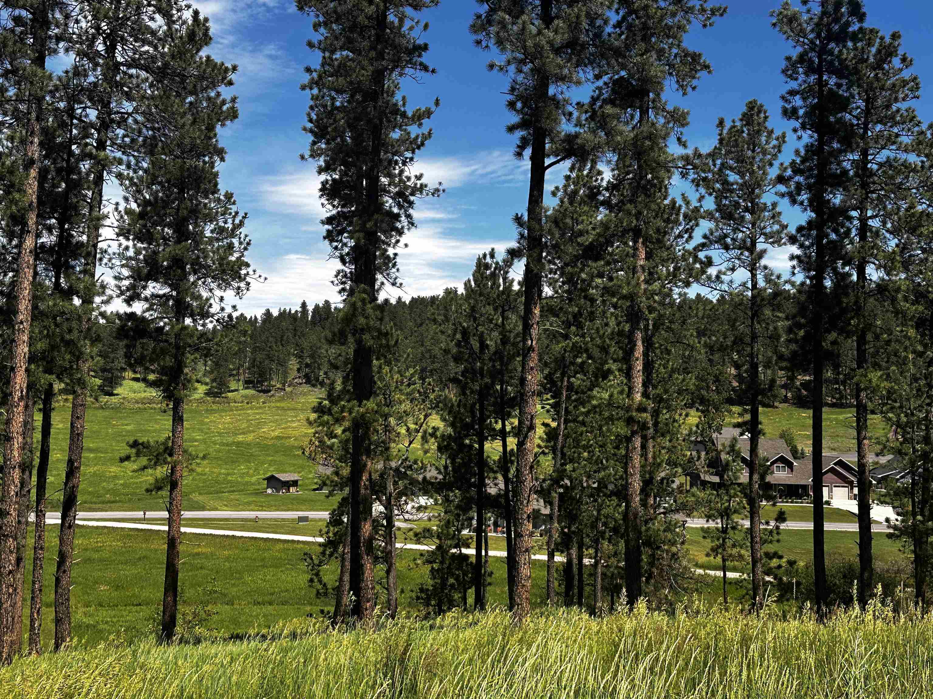 Blk 7 Lot 4  Hill City SD 57745 photo