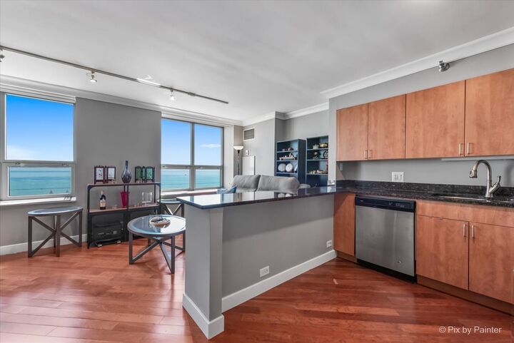 Property Photo:  474 N Lake Shore Drive 4806  IL 60611 