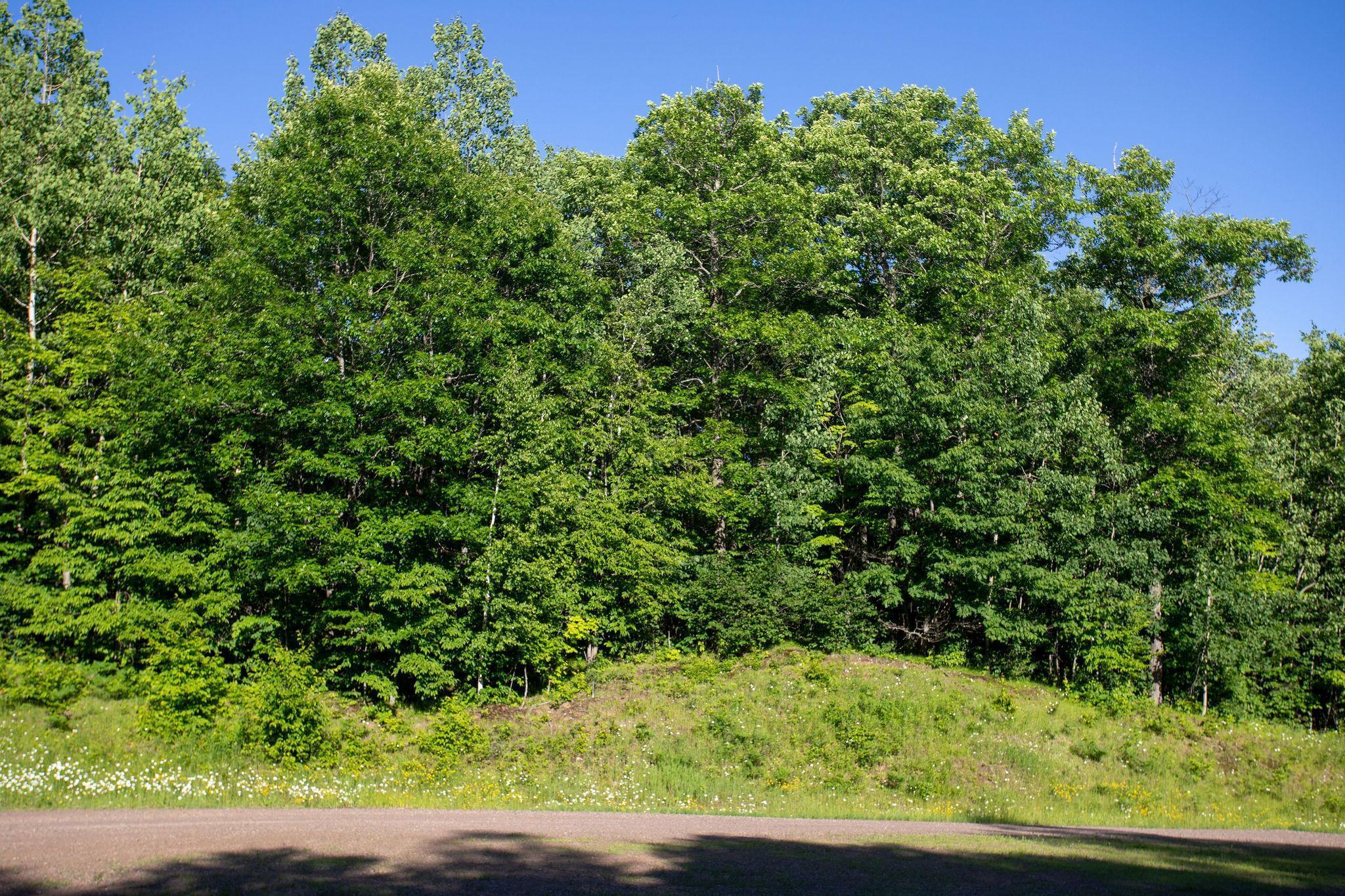 Property Photo: Xxxx Moonlight Drive MN 55718