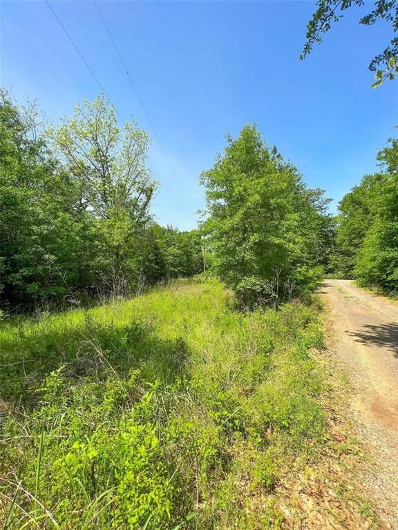Property Photo:  Tbd Fm-195 / Cr 2456  TX 75426