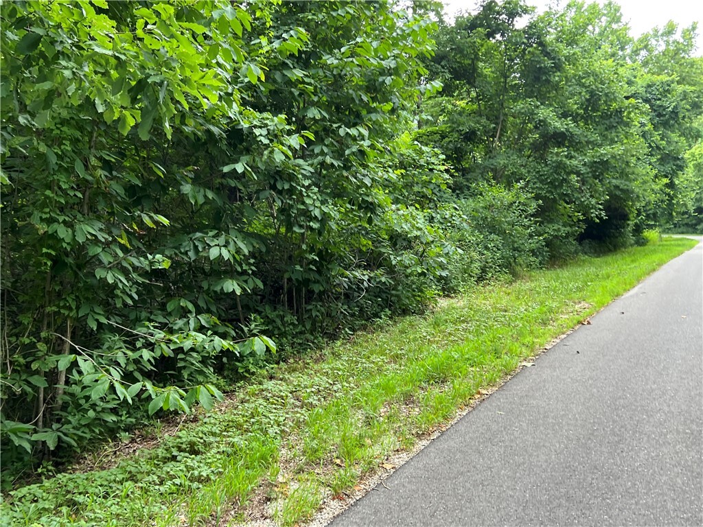 Property Photo:  18 & 19 Hawk Drive  AR 72631 