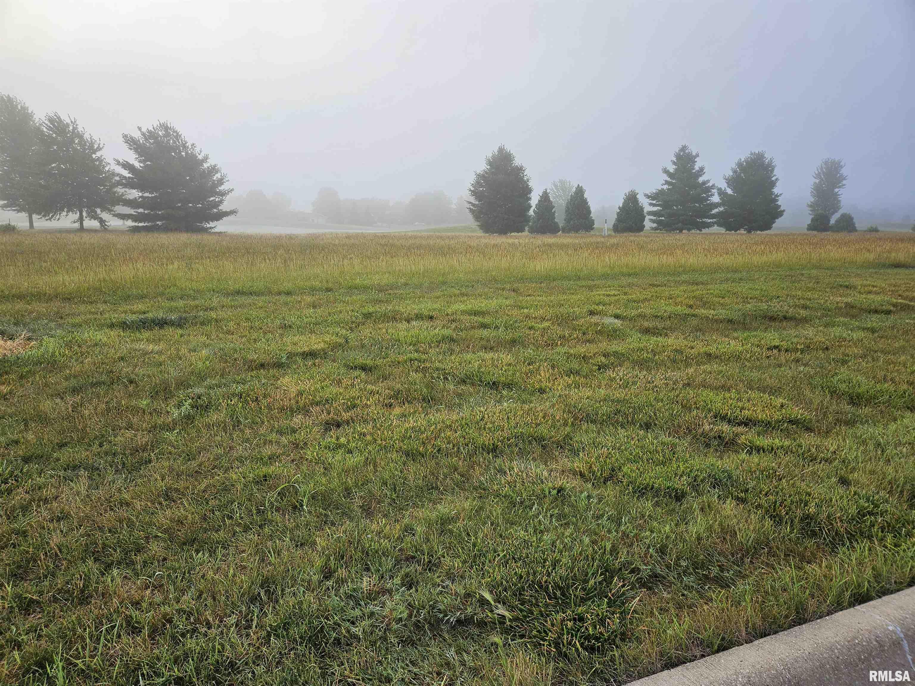 1019 Harmon Lane  Metamora IL 61548 photo