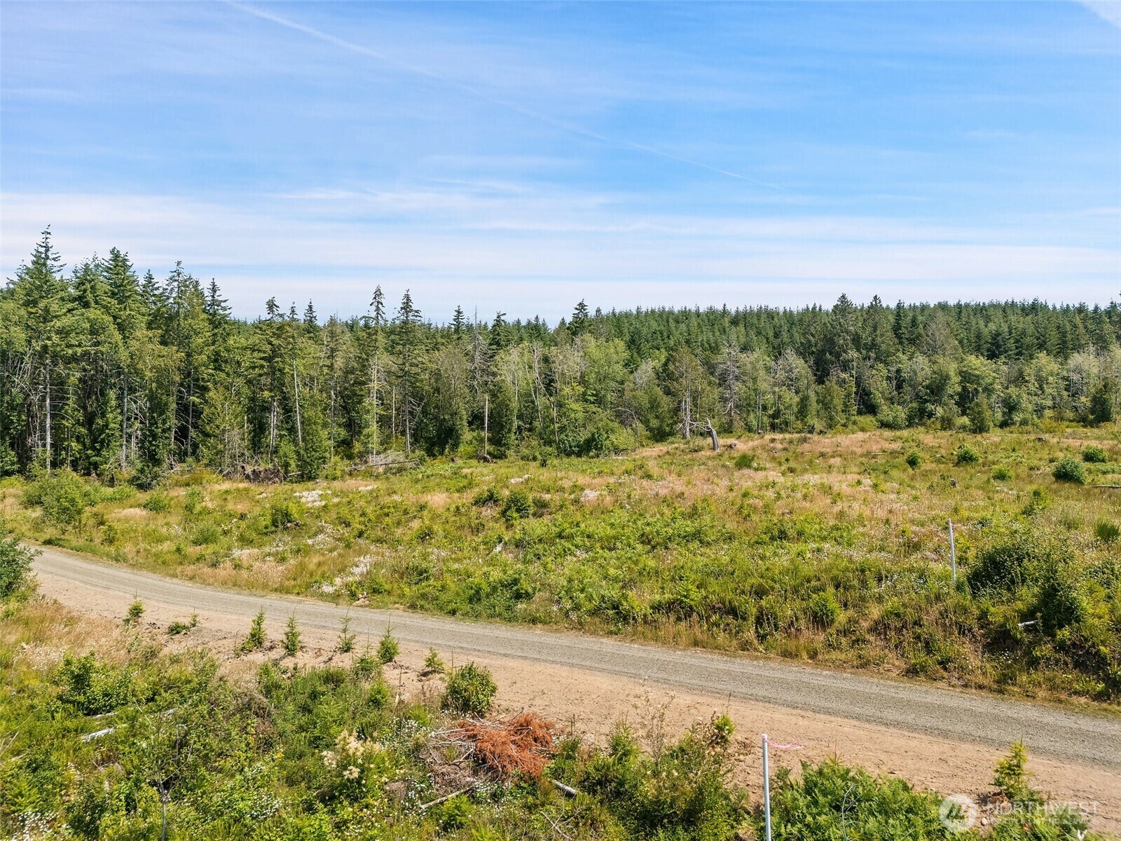 Property Photo: 0 Tr10 SE Wellswood Way WA 98584