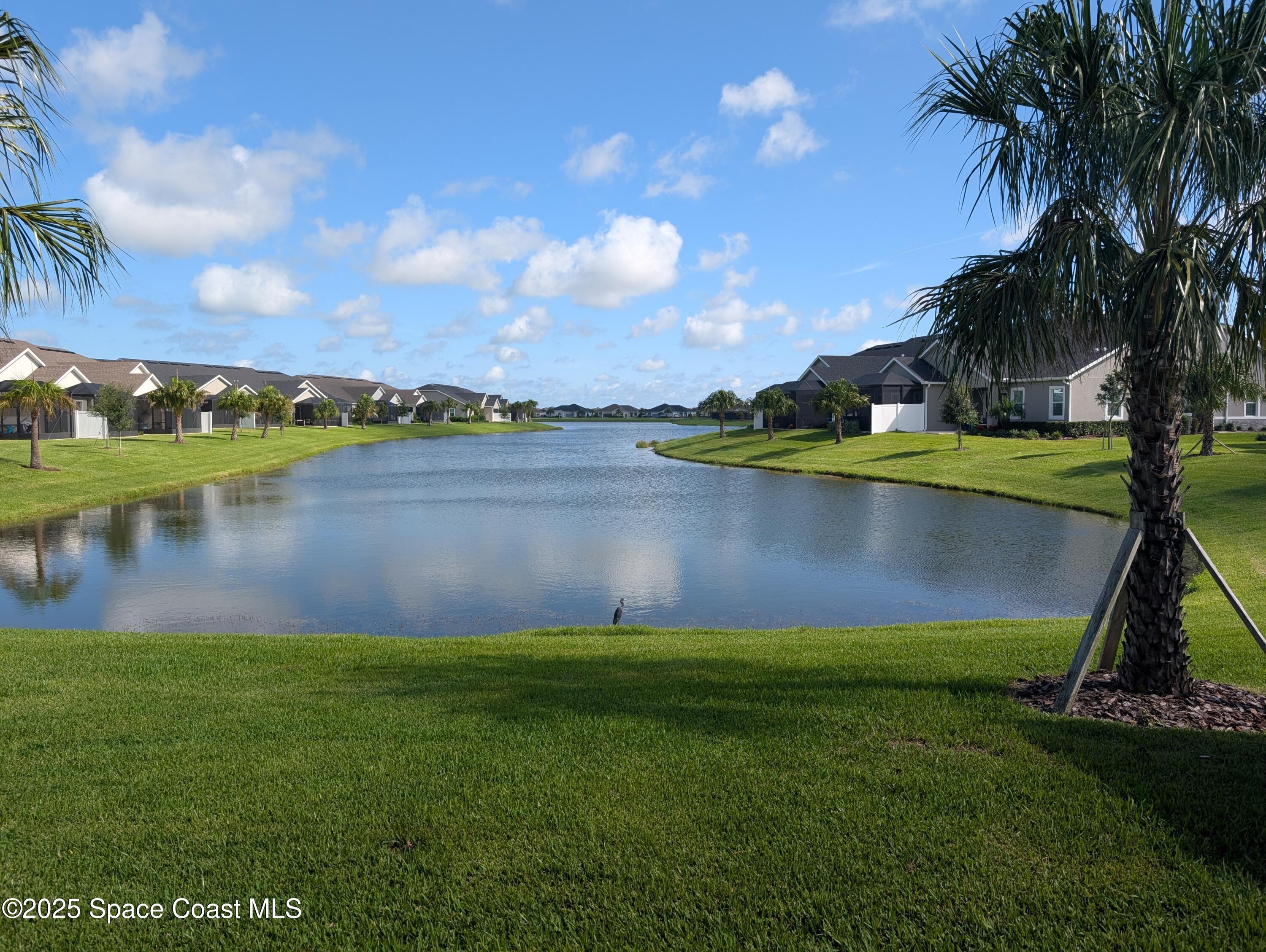 Property Photo: 2688 Avalonia Drive FL 32940