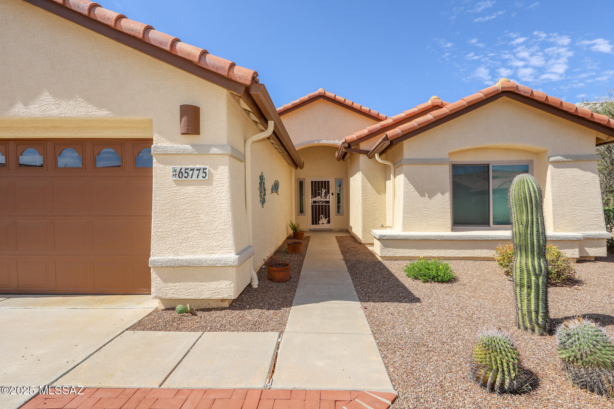 Property Photo:  65775 E Desert Moon Drive  AZ 85739 