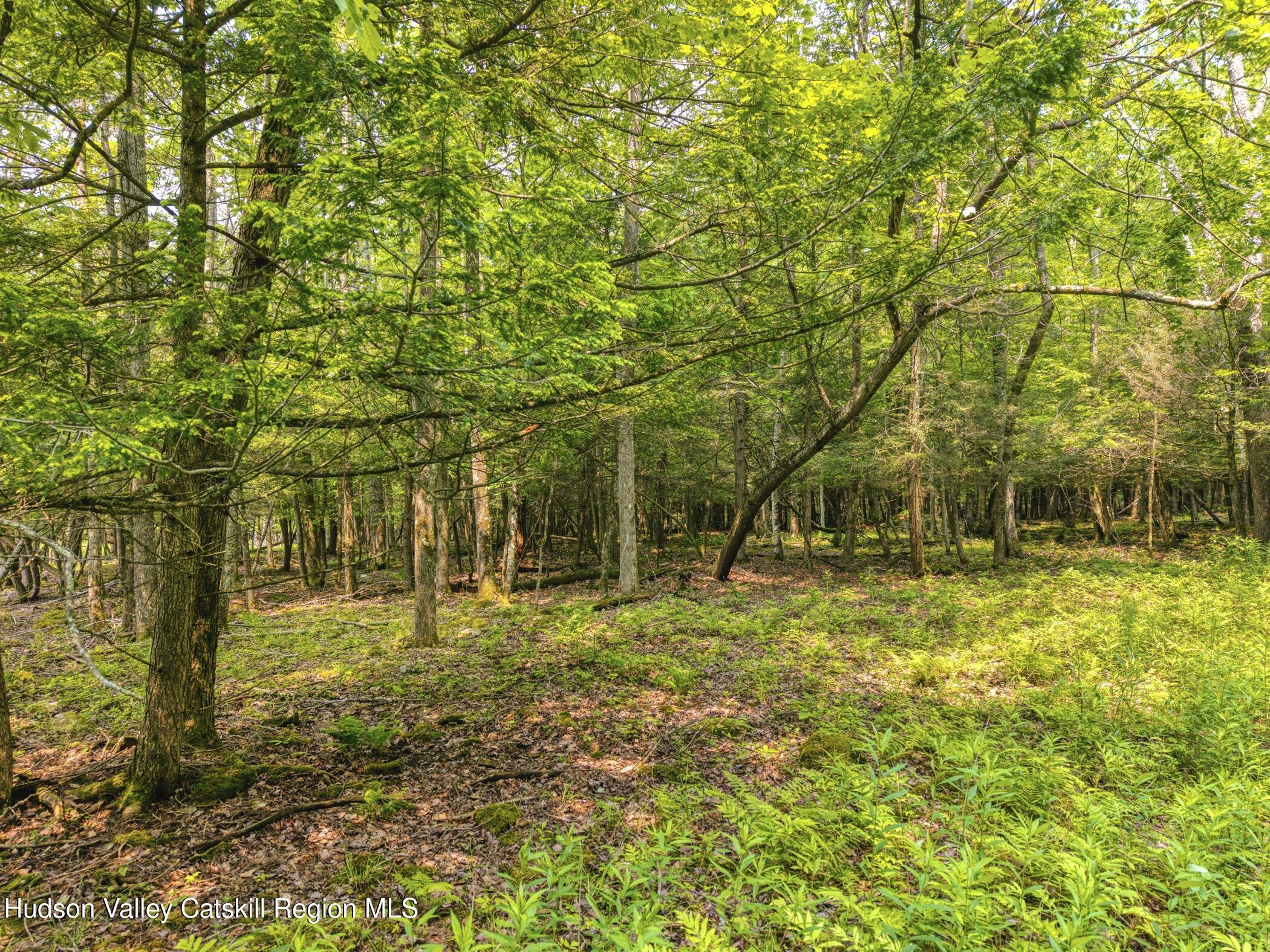 Property Photo: Tbd Boulder Brook Lot 33-38 NY 12496