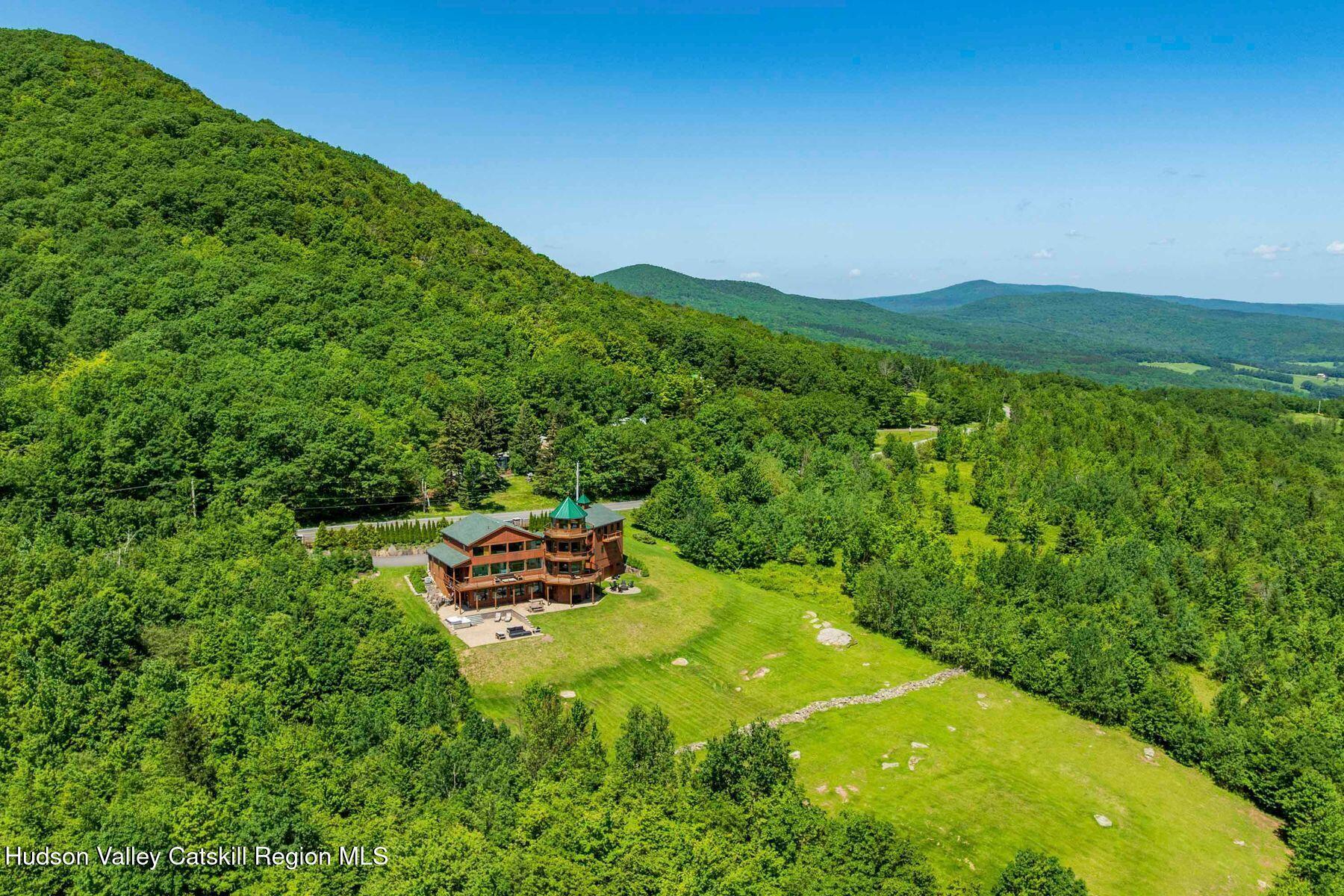 Property Photo:  223 County Road 10  NY 12422 