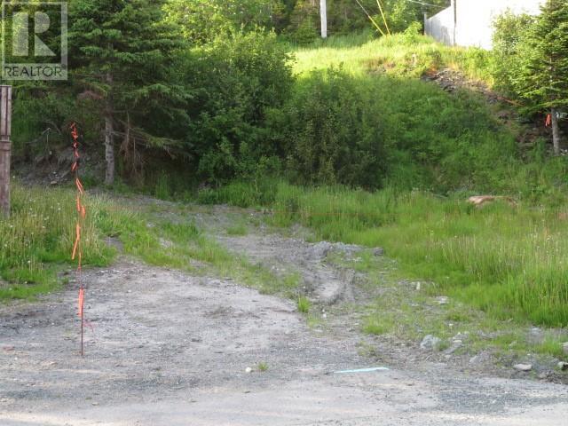 Property Photo:  107 Water Street  NL A0K 4S0 