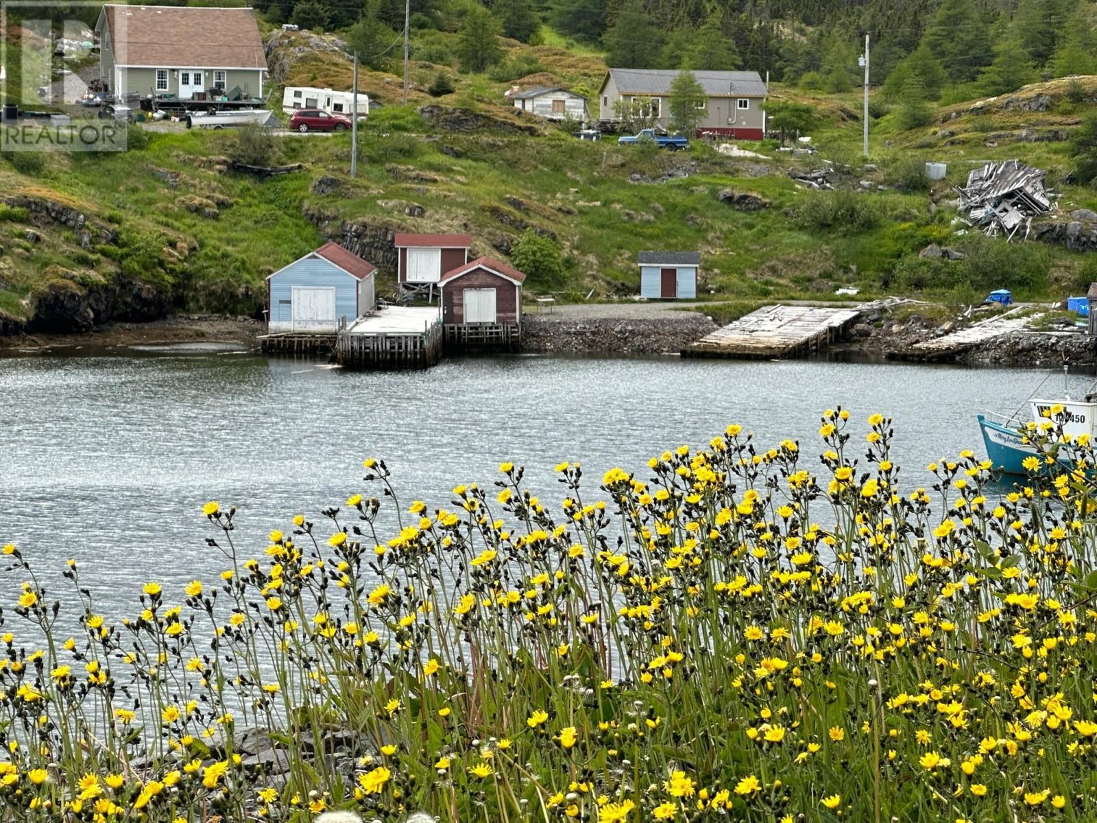 Property Photo:  0 Main Road  NL A0C 2K0 