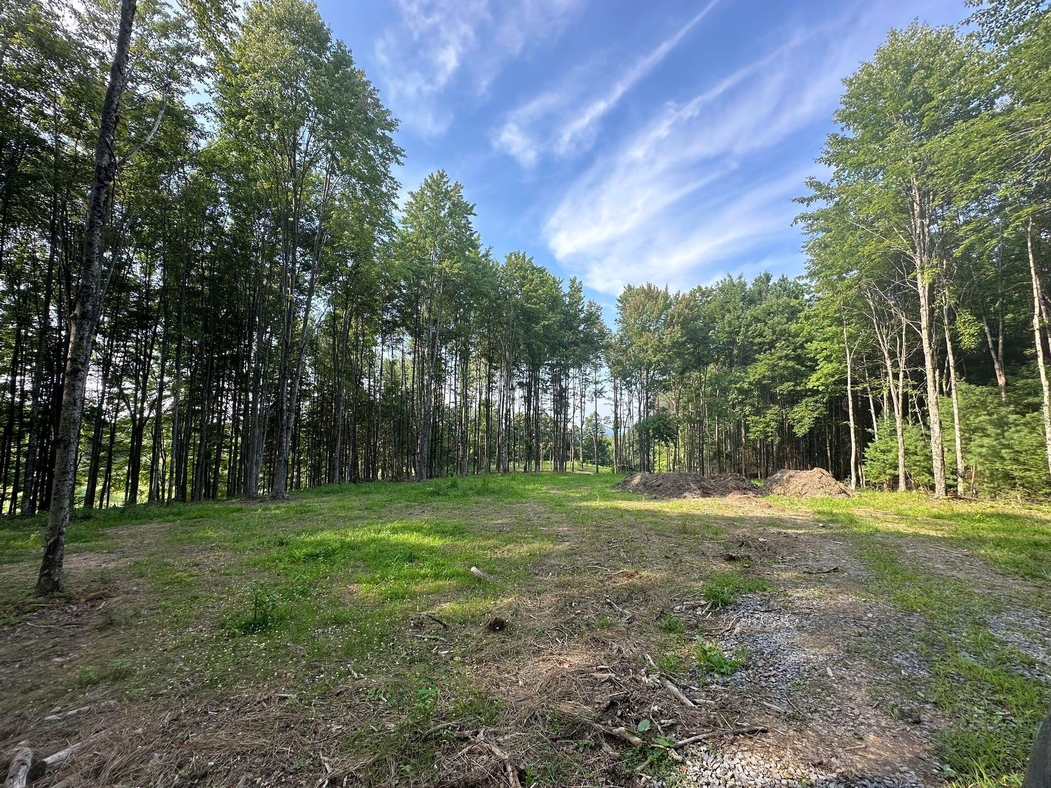 Property Photo: 408 Hickory Grove Church Rd WV 26679