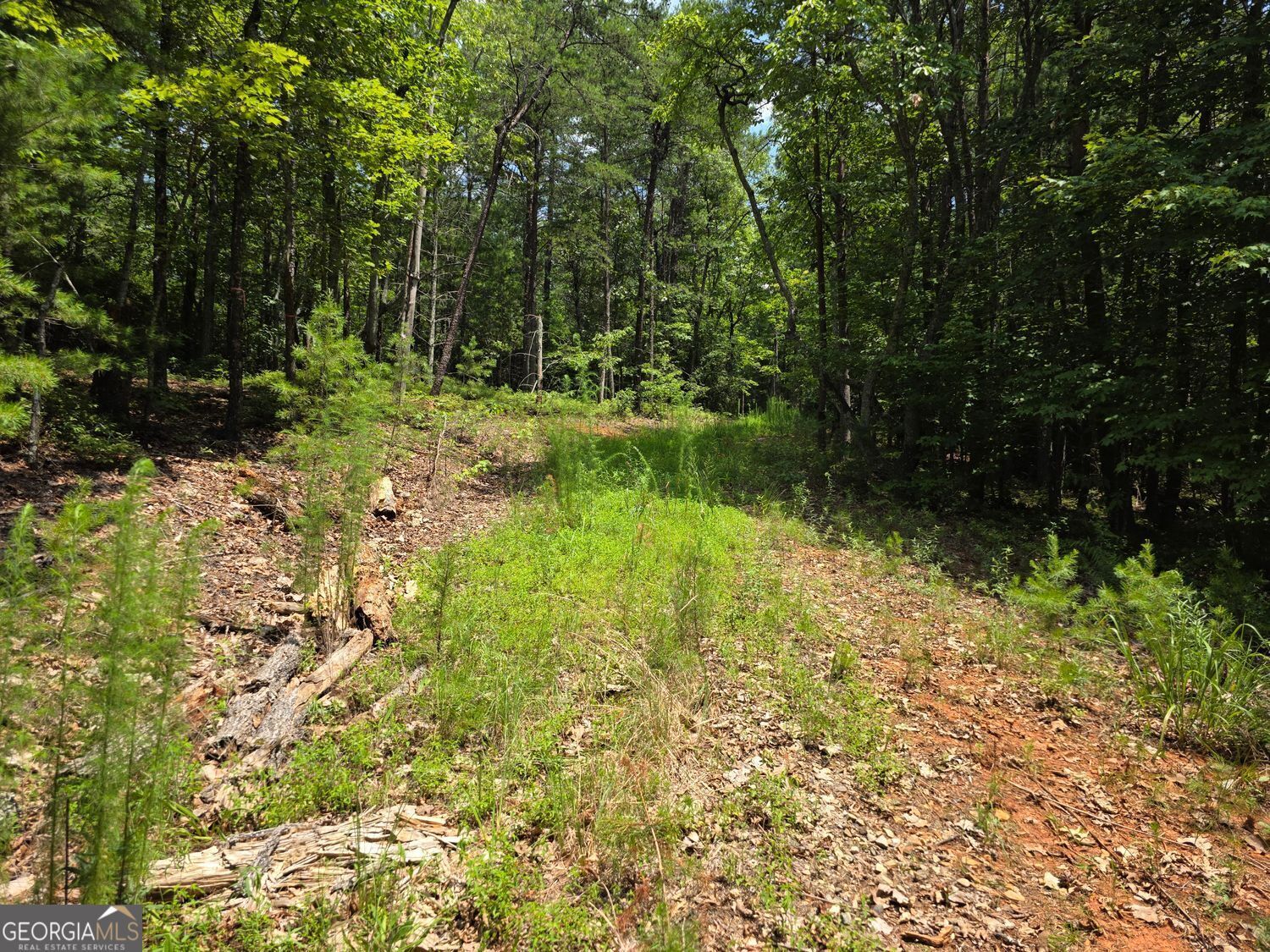 Property Photo: Lot 14 &Amp 6 Bean Creek GA 30571