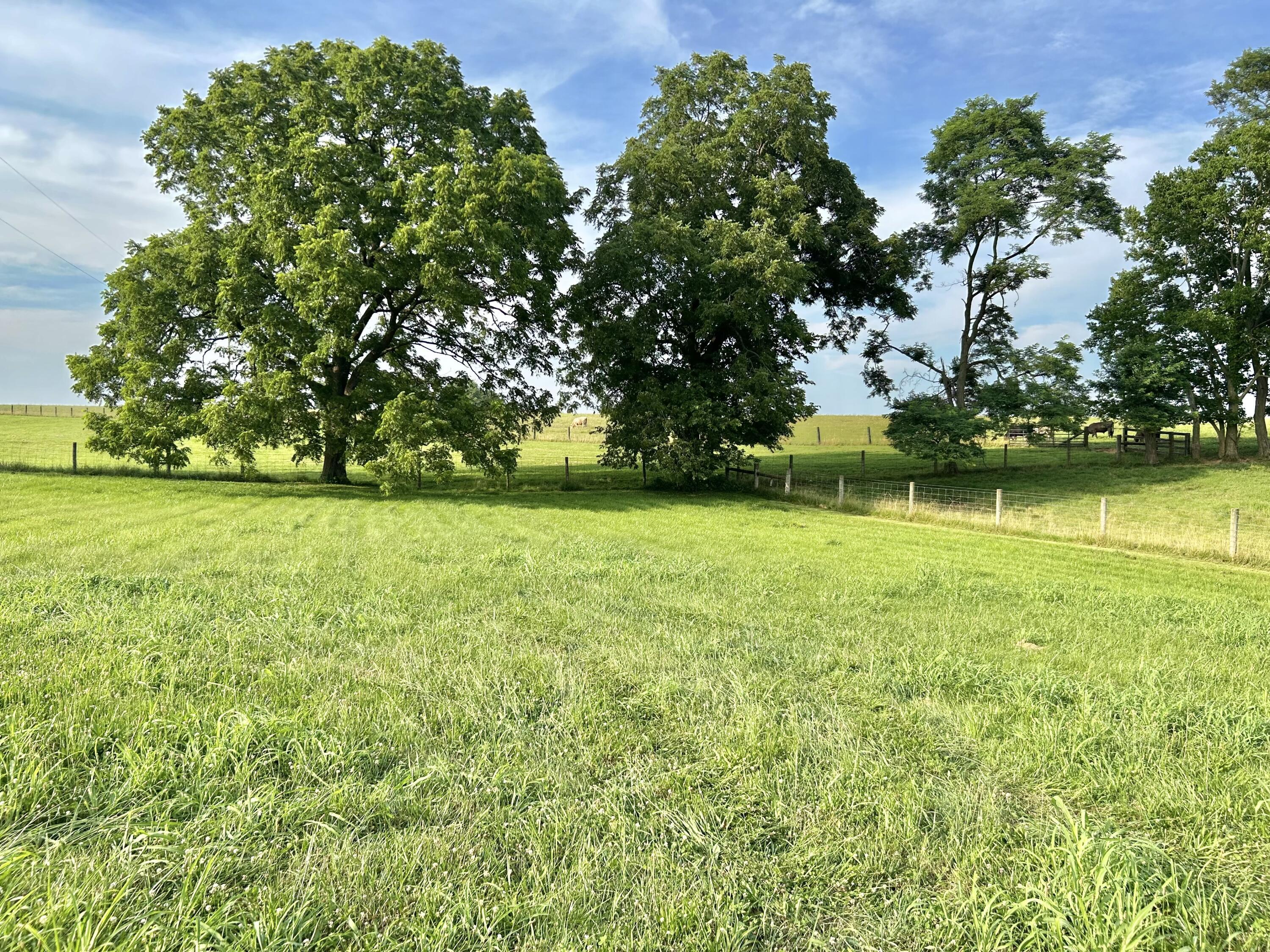 Property Photo:  1132 Lucas Lane  KY 40601 