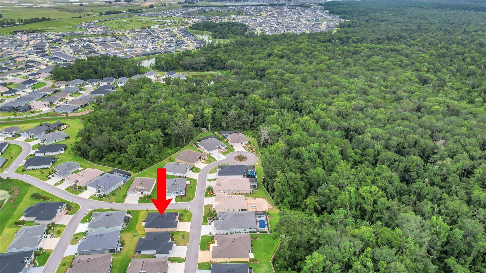 Property Photo:  6964 Sugar Creek Path  FL 34762 