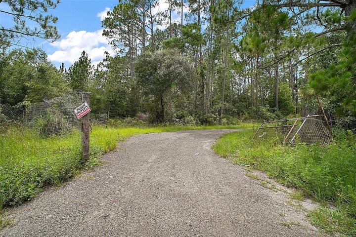52151 State Road 19  Altoona FL 32702 photo