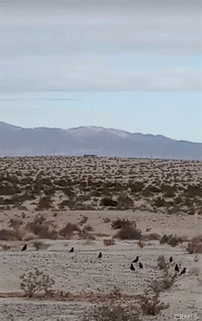 Property Photo:  0 Jojoba Drive  CA 92277 