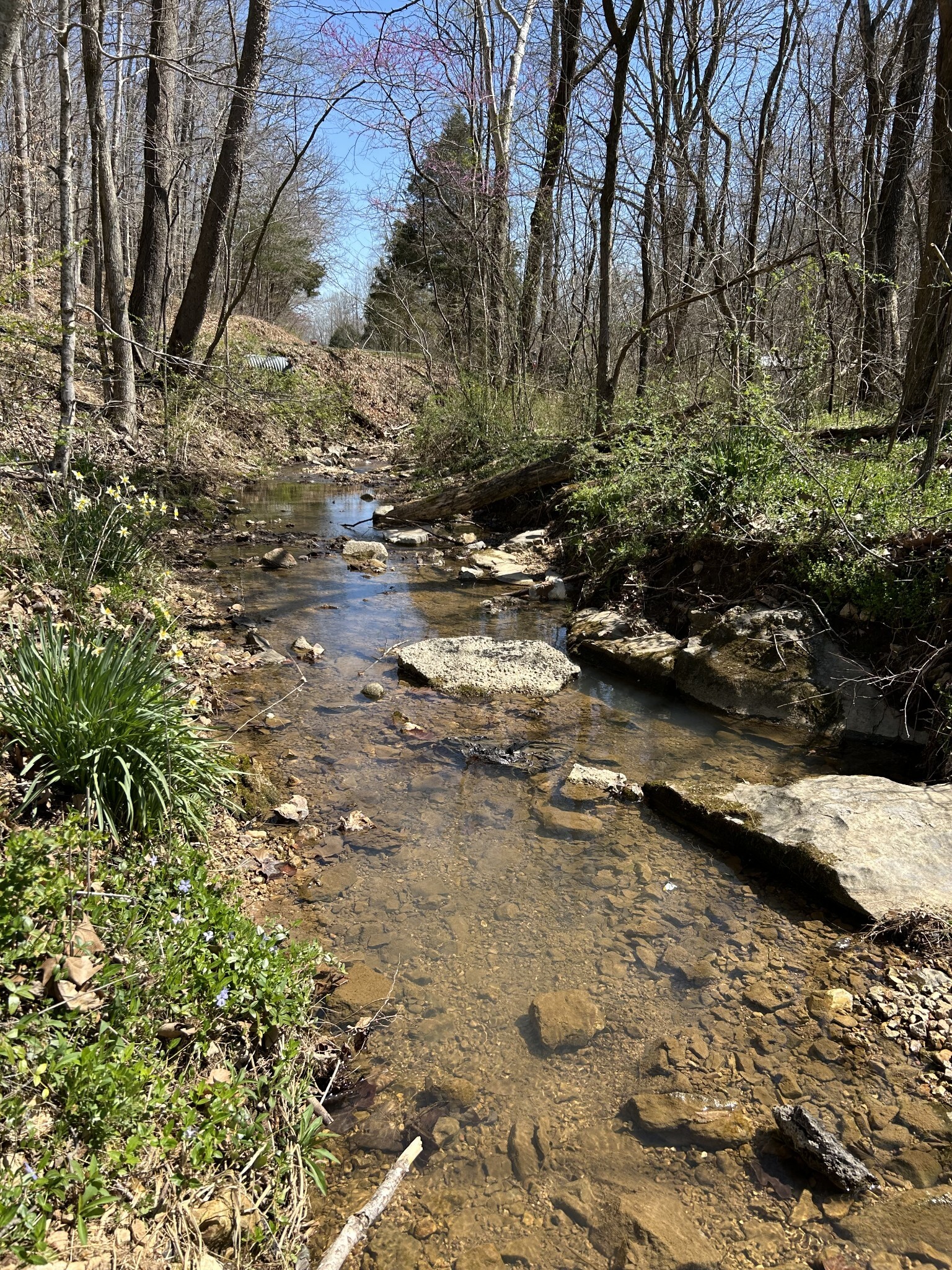 Property Photo:  820 Lucas Rd  TN 37055 