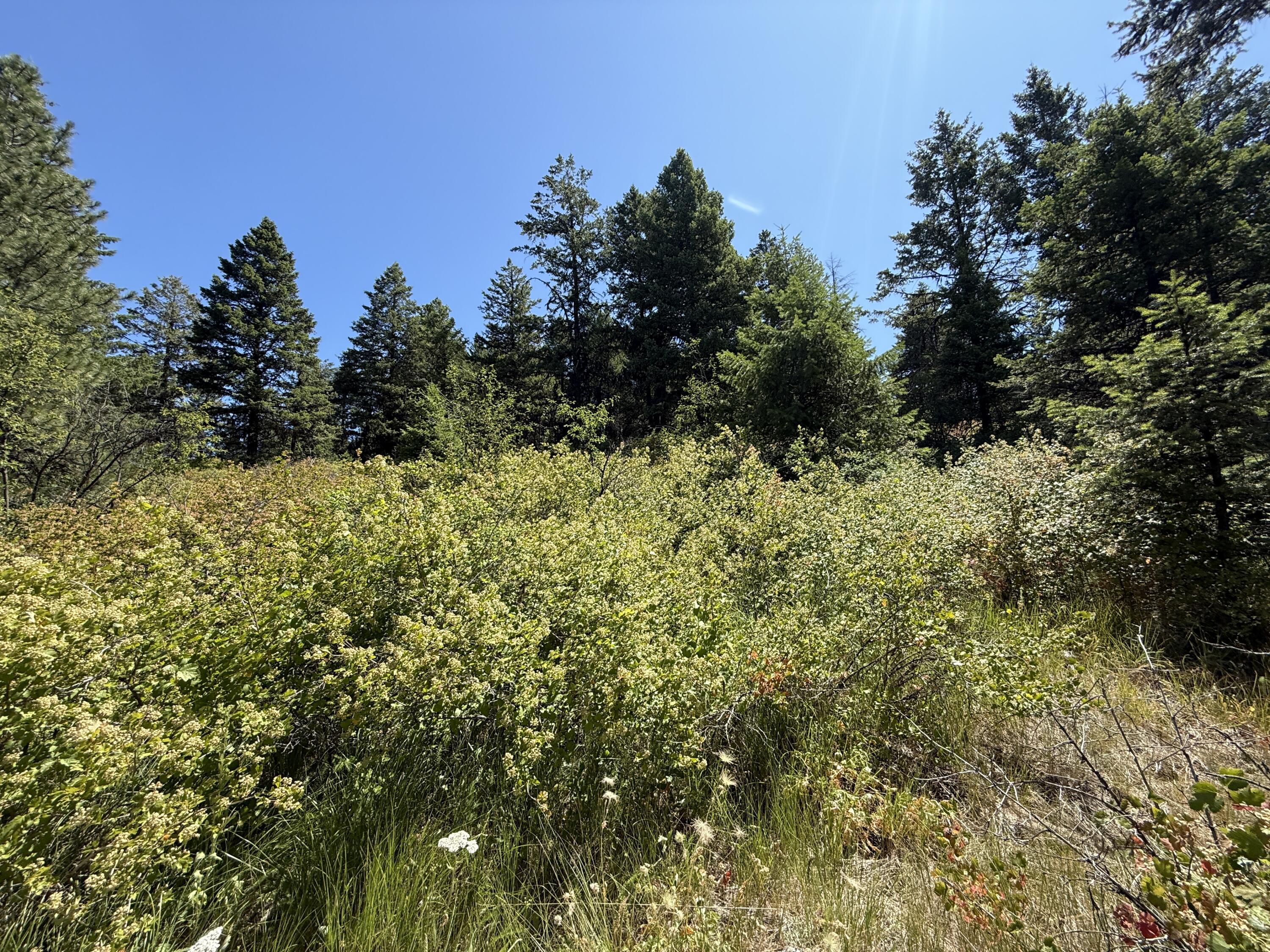 Property Photo: 135 Slippery Hill Ln WA 99166