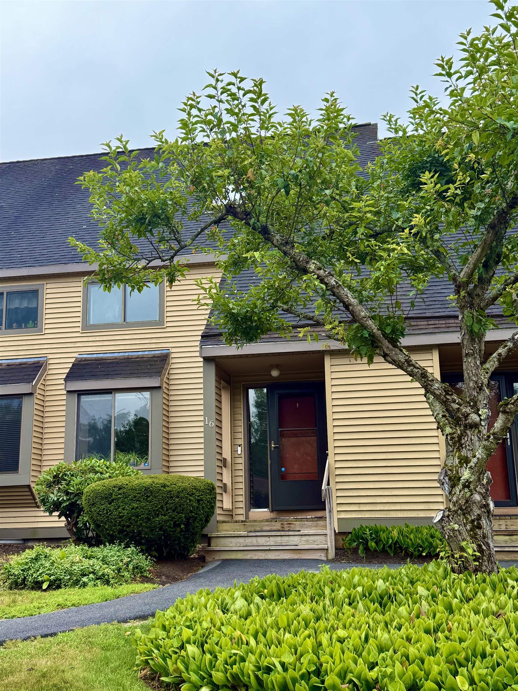 Property Photo: 16 Winchester Court NH 03275