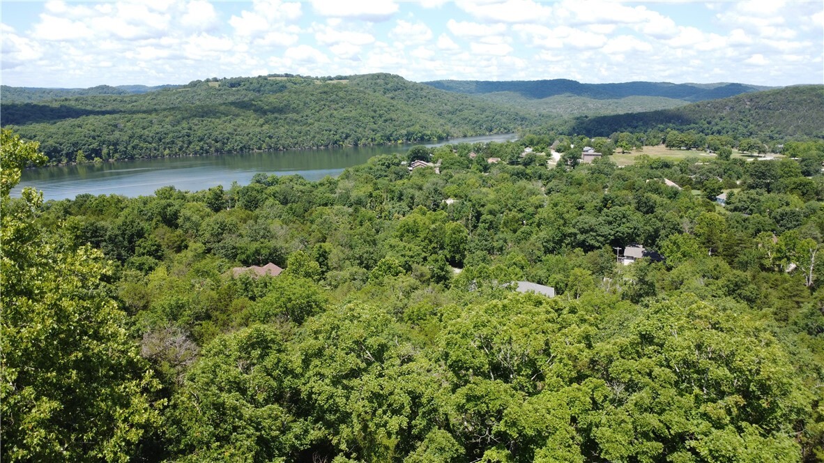 17 Quail Run Drive  Holiday Island AR 72631 photo