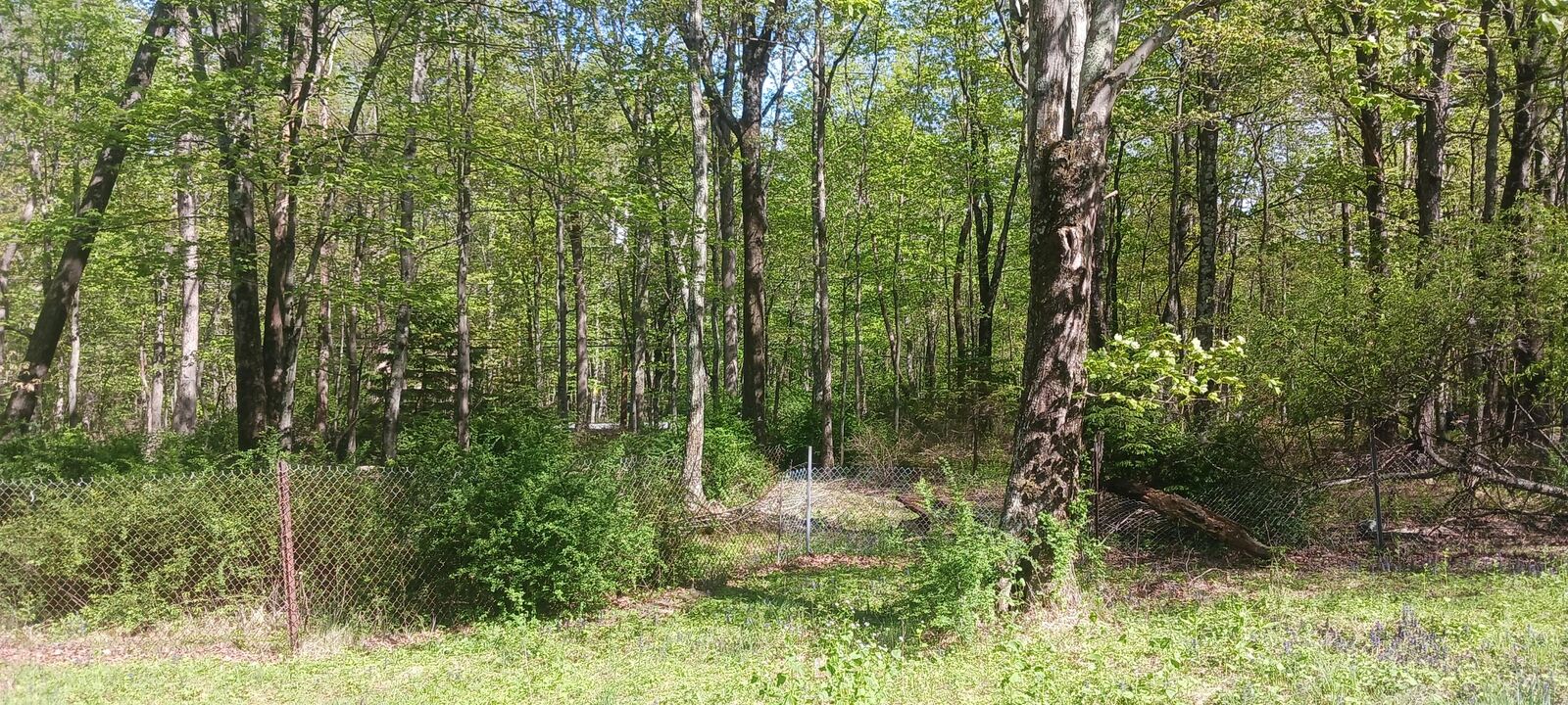 Property Photo:  719 Toll Road  PA 18330 