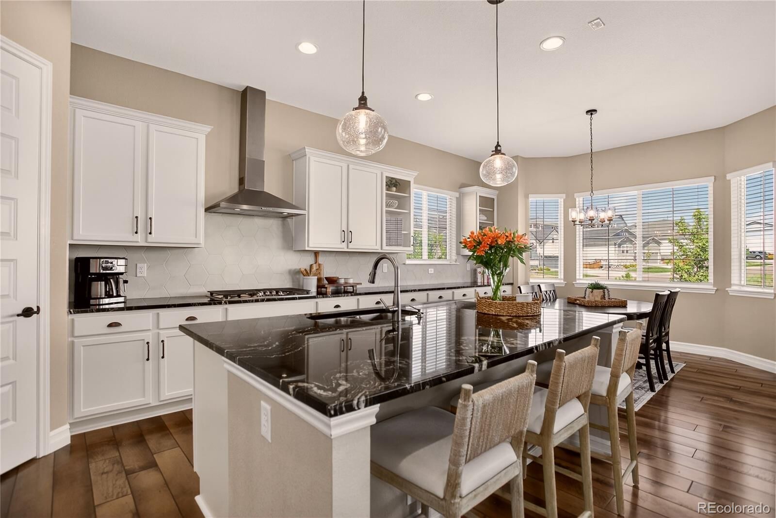Property Photo:  1057 Melting Snow Way  CO 80109 