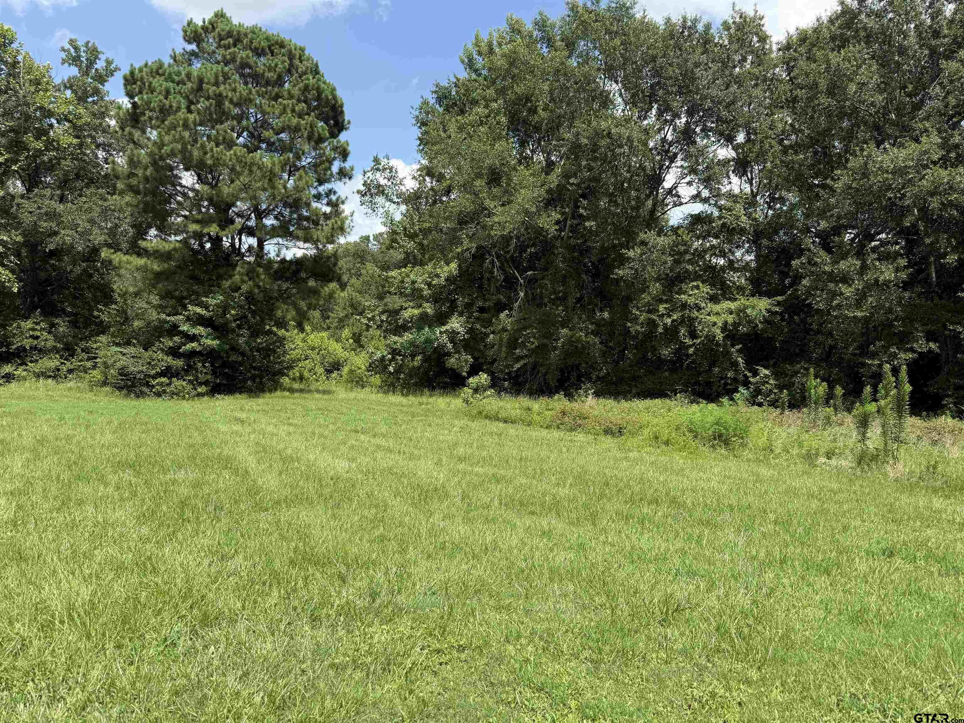 Property Photo: 000 Lake Dr TX 75792