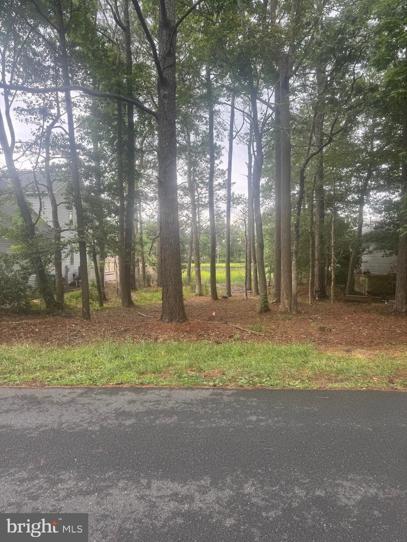 Property Photo:  72 Boston Drive  MD 21811 