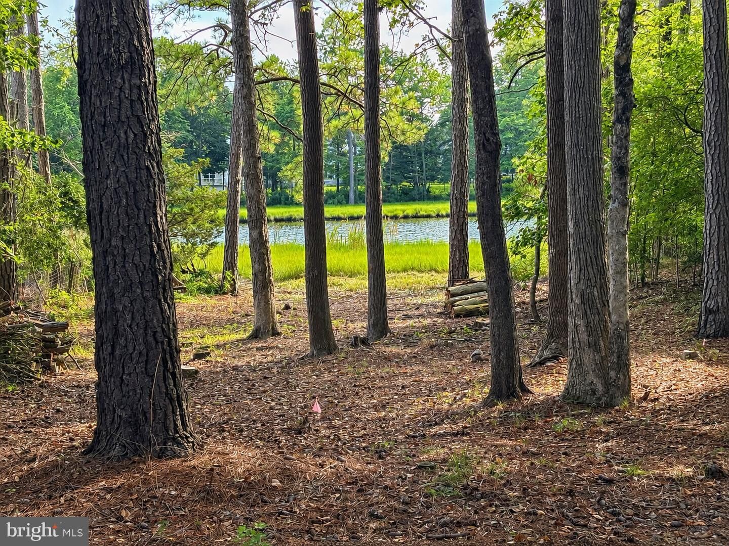Property Photo:  72 Boston Drive  MD 21811 