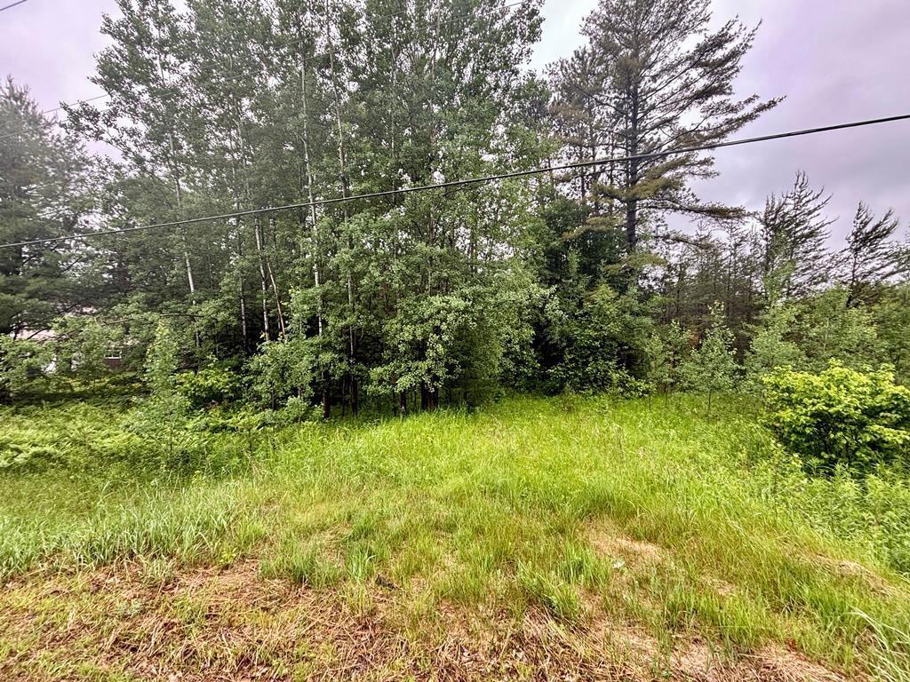 Property Photo:  1.03 Acres County Road X  WI 54455 