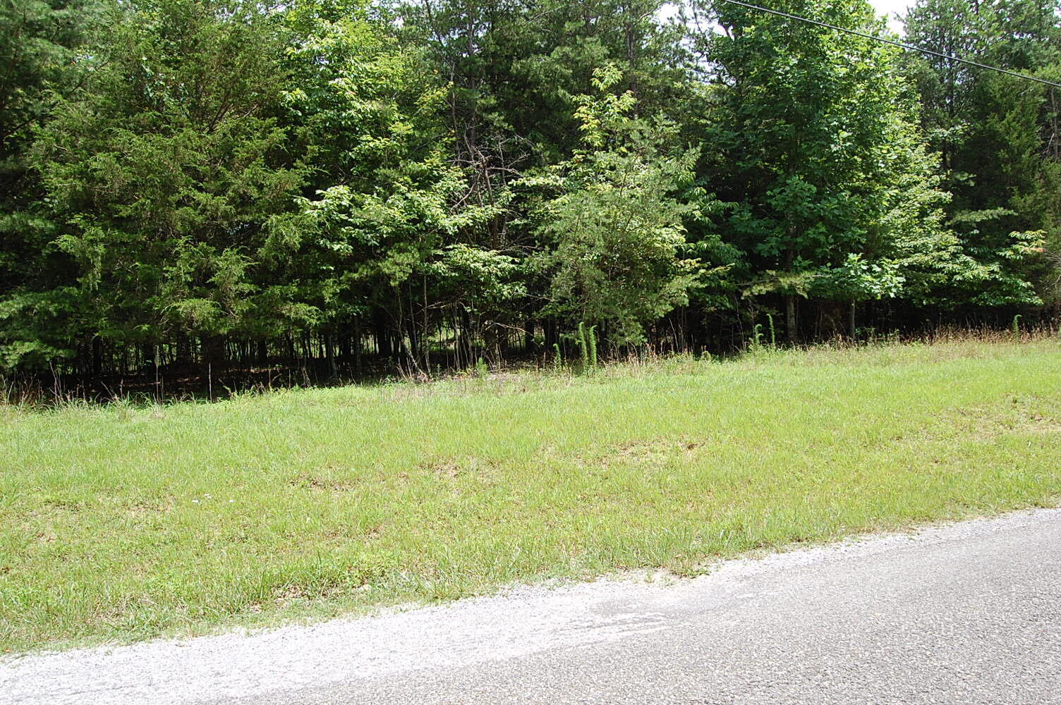 36 Stone Creek Trail  Dunlap TN 37327 photo