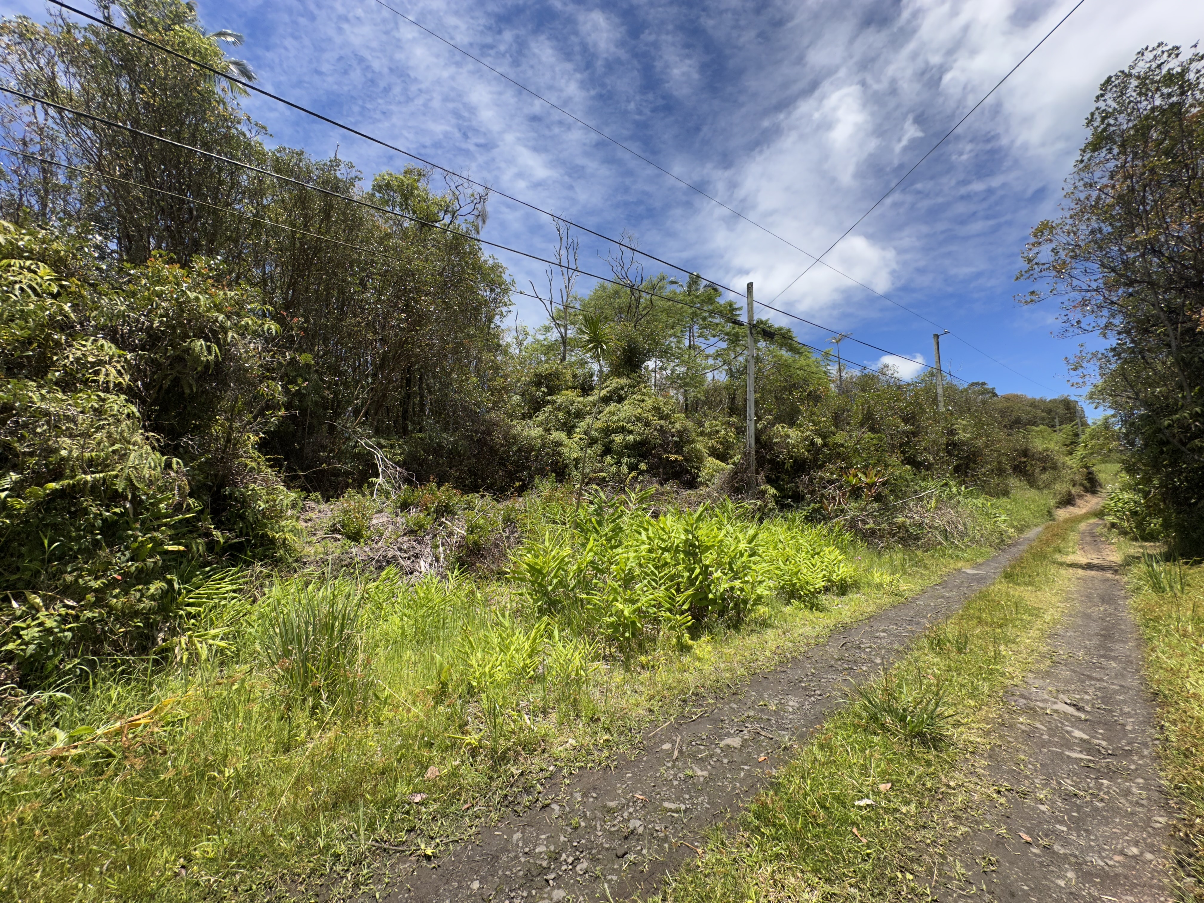 Oahu St  Mountain View HI 96771 photo