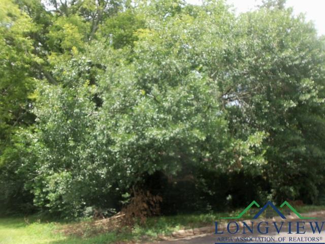 Property Photo: 3411 Larkspur Lane TX 75662-2738