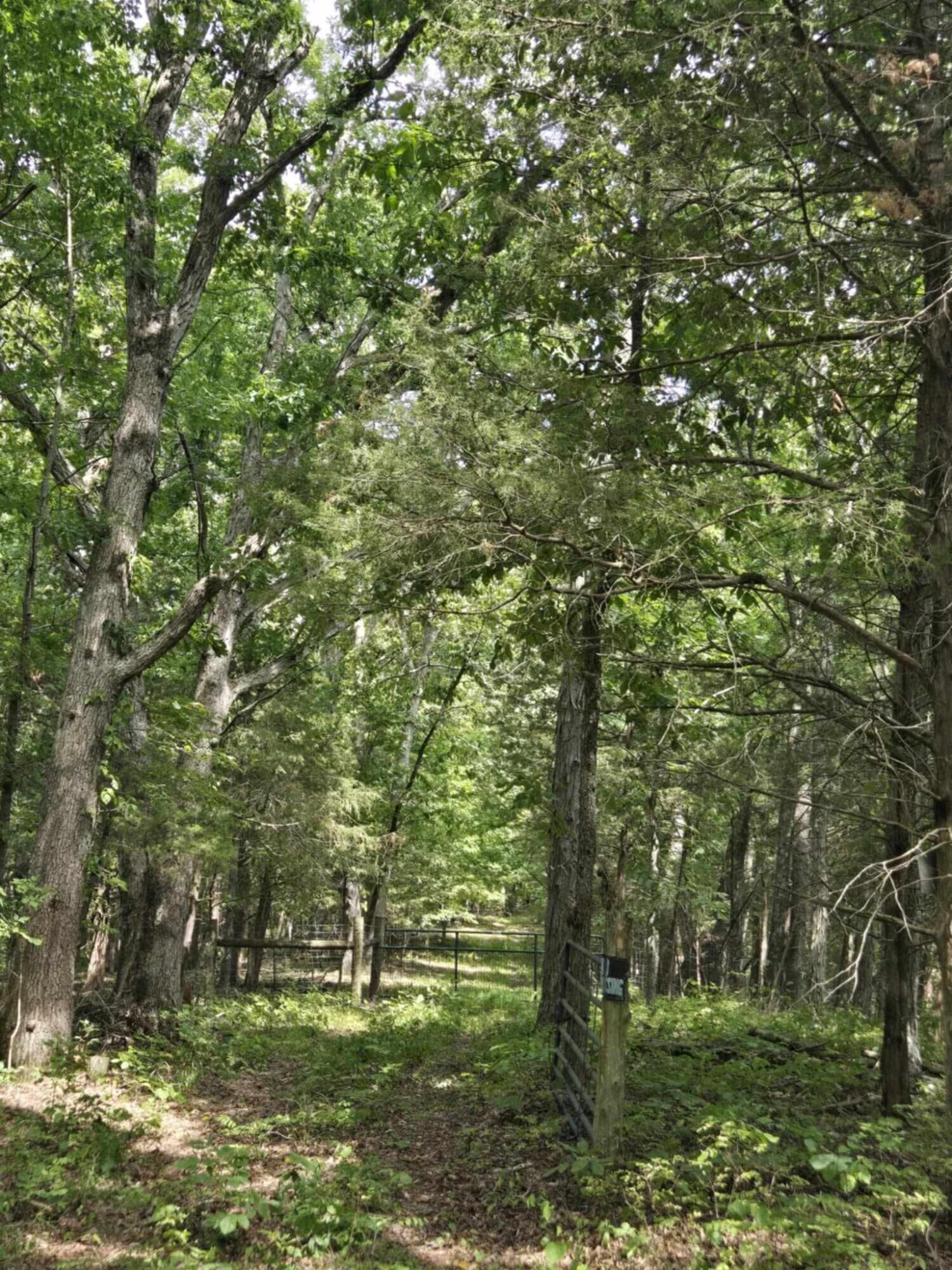 Property Photo: 2607 Royalty Ridge Road KY 40078